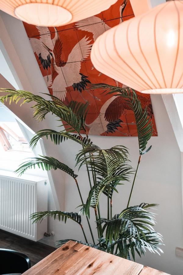 Casa Coral - A Hidden Gem For Families Apartment Groningen Luaran gambar